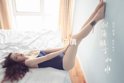 域名申请